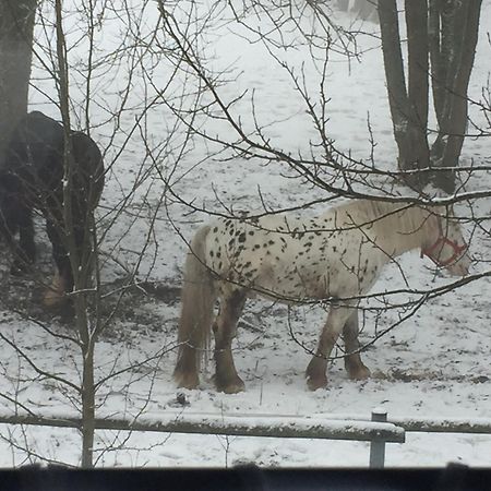 Penzion Na Slunicku Mariánská Dış mekan fotoğraf